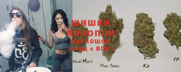spice Горнозаводск
