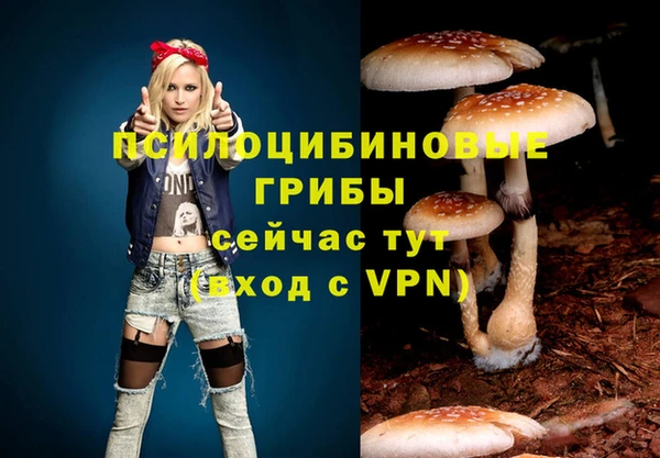 прущие крисы Горно-Алтайск