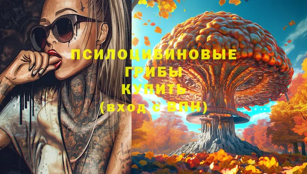 spice Горнозаводск