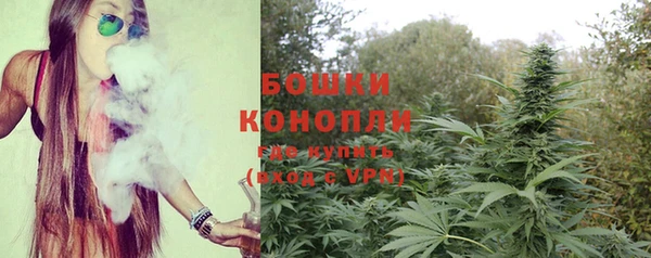 дурь Гусиноозёрск