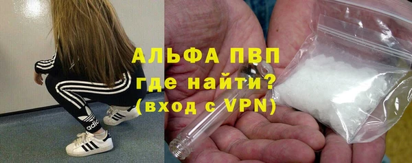 бошки Гусев