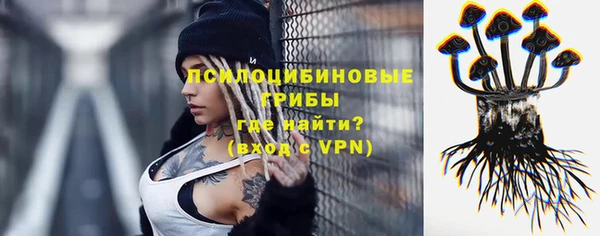 прущие крисы Горно-Алтайск
