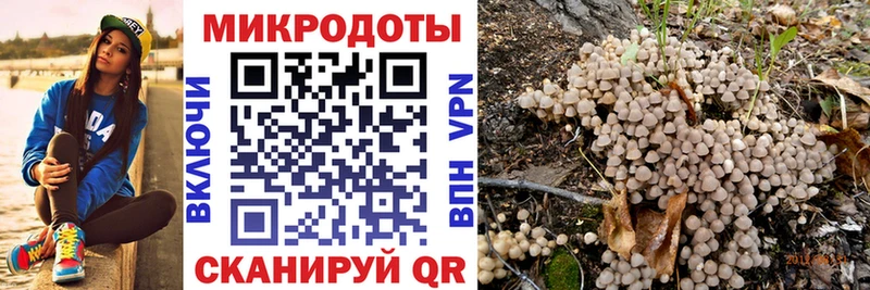 Галлюциногенные грибы GOLDEN TEACHER  продажа наркотиков  hydra ТОР  Смоленск 